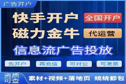 SEM代理服务：助力企业精准营销案例解析