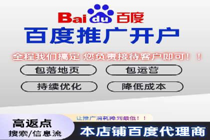 谷歌竞价广告与SEO结合的营销案例解析